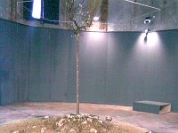 Homo Milano Academia di Belle Arti di Brera S. Carpoforo 2010